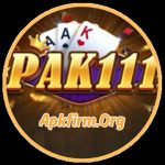 PAK 111 GAME APK