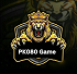 PK080 Game