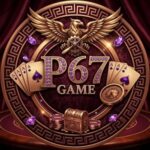 P67 Game
